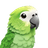 ParakeetAI