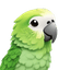 ParakeetAI